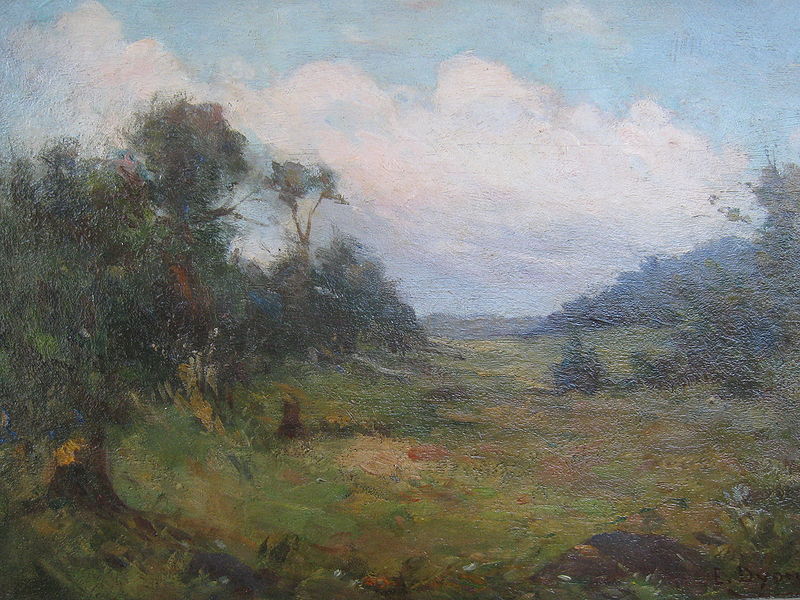 A forest meadow